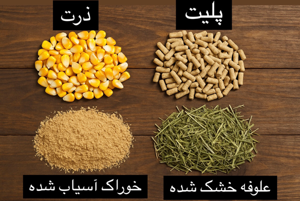 تصویری از انواع خوراک دام شامل ذرت, علوفه خشک شده, پلیت و خوراک آسیاب شده برای دامها