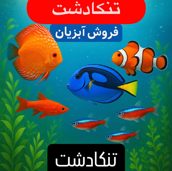 نمایی از ثبت آگهی فروش ماهی در سایت تنکا دشت؛ پلتفرمی برای تبلیغات رایگان آبزیان