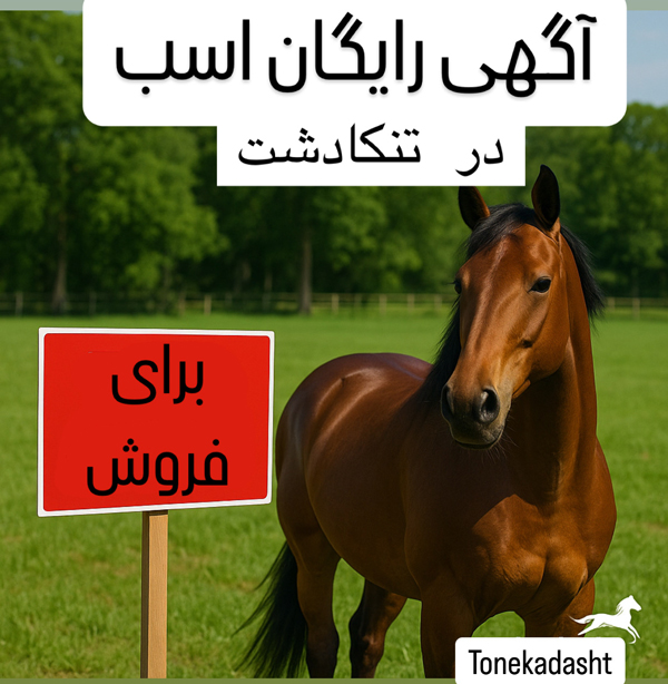 آگهی تصویری تبلیغات اسب نژاددار در سایت تنکا دشت
