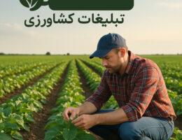 تبلیغات آنلاین برای محصولات کشاورزی از طریق پلتفرم‌های دیجیتال و شبکه‌های اجتماعی