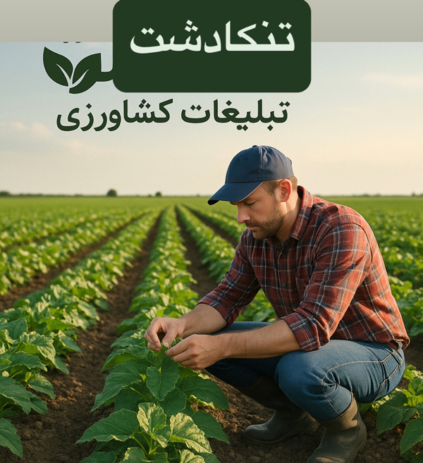 تبلیغات آنلاین برای محصولات کشاورزی از طریق پلتفرم‌های دیجیتال و شبکه‌های اجتماعی