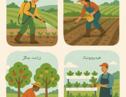 انواع روش‌های کشاورزی که به بهبود کیفیت خاک، بهره‌وری بیشتر و کاهش تأثیرات منفی محیطی کمک می‌کنند