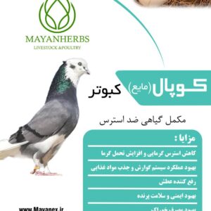 مکمل گیاهی کوپال