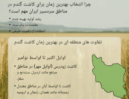اینفوگرافیک با عنوان «بهترین زمان کاشت گندم» که فصول مناسب کاشت (پاییز و بهار)، میزان رطوبت خاک، ساعات نور خورشید و شرایط دمایی مناسب برای کشت گندم را نشان می‌دهد.