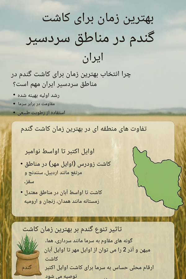اینفوگرافیک با عنوان «بهترین زمان کاشت گندم» که فصول مناسب کاشت (پاییز و بهار)، میزان رطوبت خاک، ساعات نور خورشید و شرایط دمایی مناسب برای کشت گندم را نشان می‌دهد.