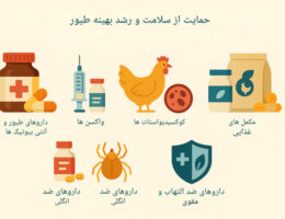 انواع داروهای مورد استفاده برای درمان بیماری‌ها و تقویت سیستم ایمنی طیور.