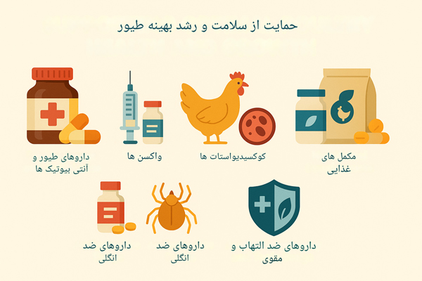 انواع داروهای مورد استفاده برای درمان بیماری‌ها و تقویت سیستم ایمنی طیور.