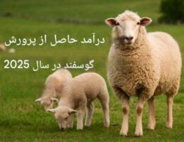 درآمد پرورش گوسفند در سال ۱۴۰۴