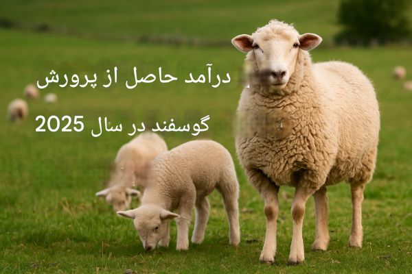 درآمد پرورش گوسفند در سال ۱۴۰۴