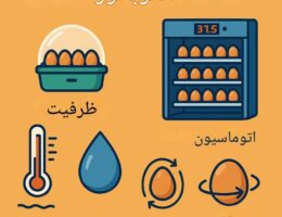 اینفوگرافی آموزشی درباره دستگاه جوجه‌کشی شامل آیکون‌هایی برای ظرفیت، اتوماسیون، دما، رطوبت و چرخش تخم‌ها با طراحی ساده و نوشته‌های فارسی.