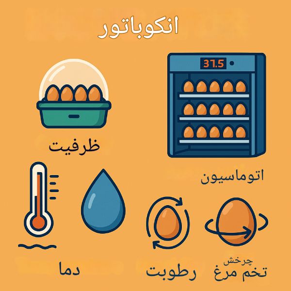 اینفوگرافی آموزشی درباره دستگاه جوجه‌کشی شامل آیکون‌هایی برای ظرفیت، اتوماسیون، دما، رطوبت و چرخش تخم‌ها با طراحی ساده و نوشته‌های فارسی.