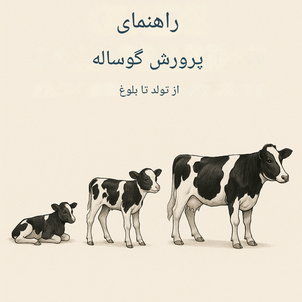 تصویر یک گوساله شیری تازه متولد شده در کنار مادرش در مزرعه، جلد راهنمای «راهنما پرورش گوساله شیری از تولد تا بلوغ» را نمایش می‌دهد.