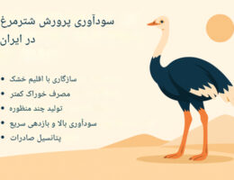 سوآوری پرورش شترمرغ در ایران به فرآیند پرورش شترمرغ‌ها با استفاده از روش‌های علمی و نوین اشاره دارد که هدف آن تولید گوشت، تخم‌مرغ، پر و سایر محصولات مرتبط با شترمرغ است. این صنعت در ایران با توجه به شرایط مناسب اقلیمی و مزایای اقتصادی، در حال گسترش و توسعه است.
