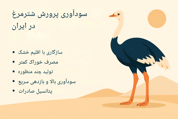 سوآوری پرورش شترمرغ در ایران به فرآیند پرورش شترمرغها با استفاده از روشهای علمی و نوین اشاره دارد که هدف آن تولید گوشت، تخممرغ، پر و سایر محصولات مرتبط با شترمرغ است. این صنعت در ایران با توجه به شرایط مناسب اقلیمی و مزایای اقتصادی، در حال گسترش و توسعه است.