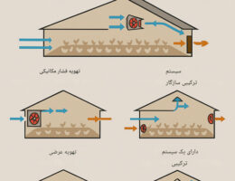 اینفوگرافی دوبعدی از سیستم تهویه سالن مرغداری با نمایش اجزای برچسب‌خورده شامل فن‌های خروج هوا، ورودی‌های هوا، پدهای خنک‌کننده، فن‌های سقفی و جهت گردش هوا درون سالن همراه با مرغ‌ها.