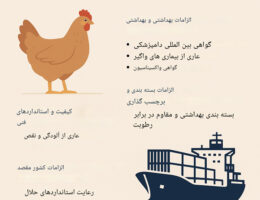 تصویری از فرایند صادرات طیور شامل مرغ زنده، بسته‌بندی تخم‌مرغ، کامیون حمل‌ونقل و کشتی باری، با عنوان «صادرات طیور» در سبک طراحی مدرن و دو‌بعدی.