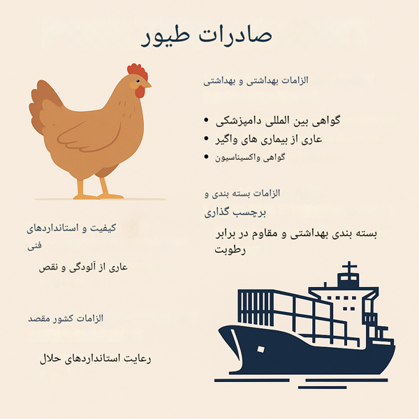 تصویری از فرایند صادرات طیور شامل مرغ زنده، بستهبندی تخممرغ، کامیون حملونقل و کشتی باری، با عنوان «صادرات طیور» در سبک طراحی مدرن و دوبعدی.