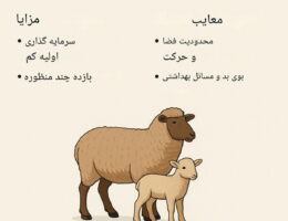 اینفوگرافیک فارسی درباره سودآوری پرورش گوسفند در خانه، شامل بررسی مزایا، معایب، هزینه‌ها، سود تقریبی و نکات مهم برای دامپروری خانگی.