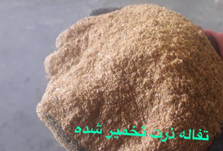 تفاله ذرت تخمیرشده