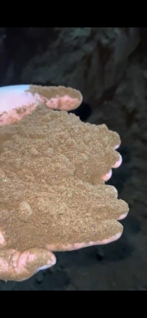 پودرماهی جنوب شهری