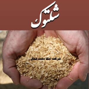 شلتوک (پوسته برنج) مناسب مرغداری