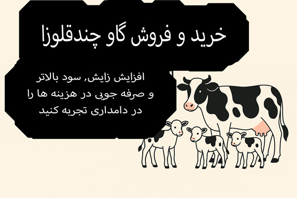 تصویر گاو چندقلوزا به همراه سه گوساله با متن فارسی: خرید و فروش گاو چندقلوزا، افزایش زایش، سوددهی بالا و صرفه‌جویی در دامداری.