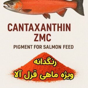 *نسل جدید رنگدانه ویژه ماهی قزل آلا با کیفیت عالی*