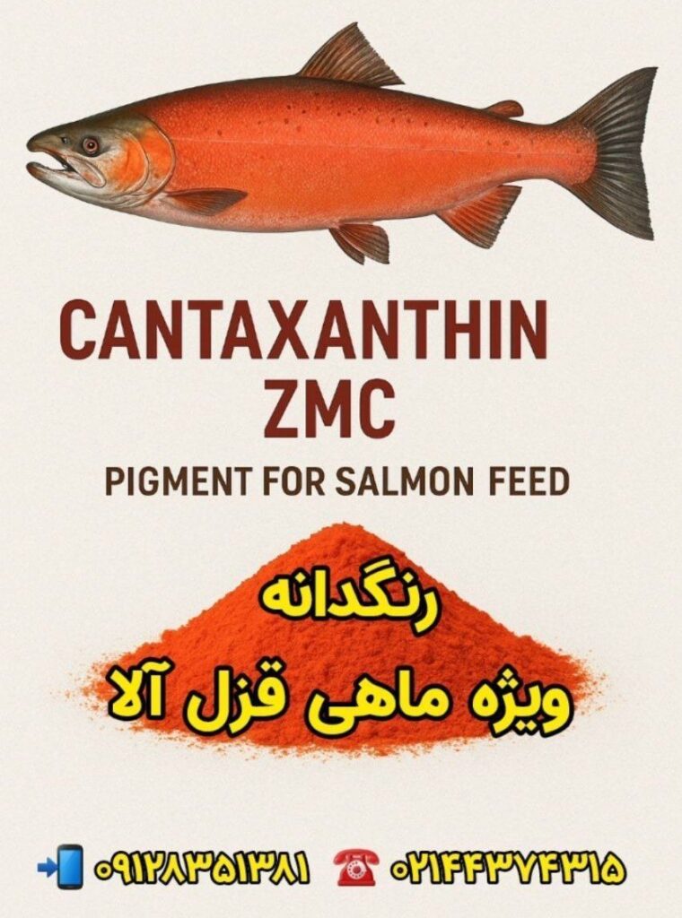 *نسل جدید رنگدانه ویژه ماهی قزل آلا با کیفیت عالی*