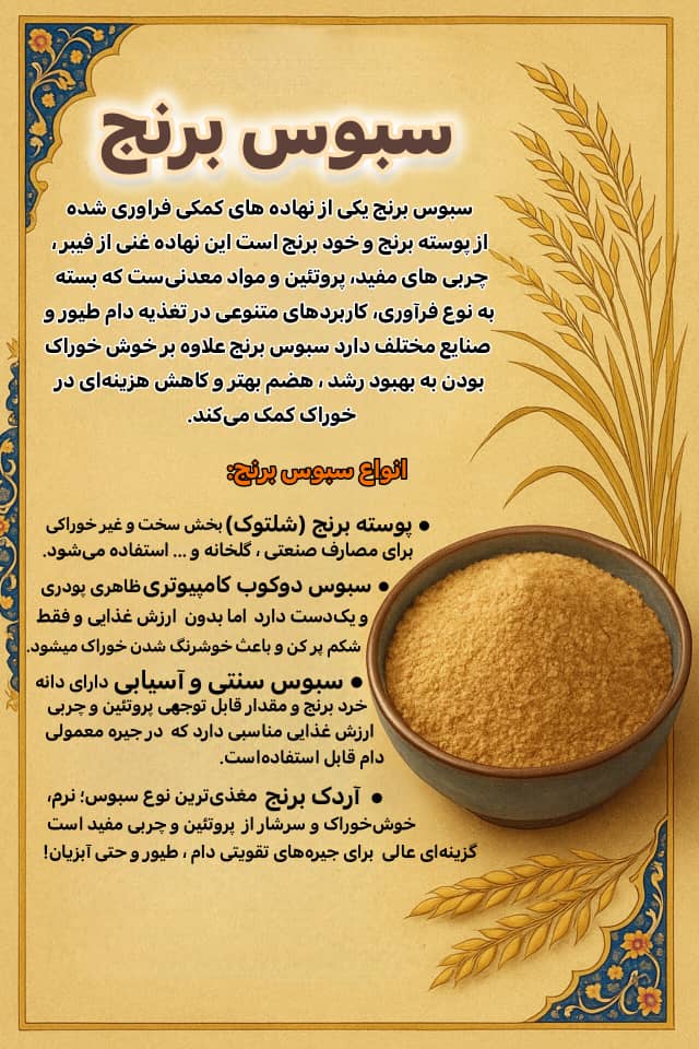 سبوس برنج دوکوب کامپیوتری