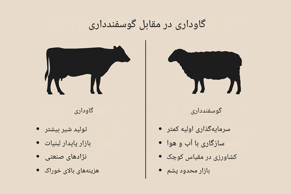 مقایسه مزایا و معایب گاوداری و گوسفندداری در دامپروری، بررسی سودآوری و هزینه‌ها.