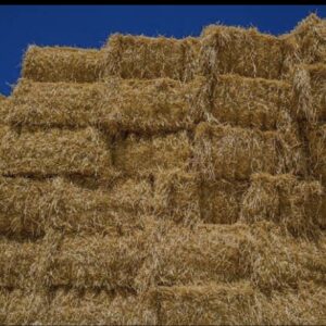 خوراک دام ،کاه ، یونجه