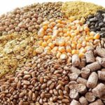 خوراک دام و طیور