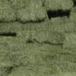 خوراک دام ،کاه ، یونجه