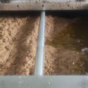 خوراک دام وطیور