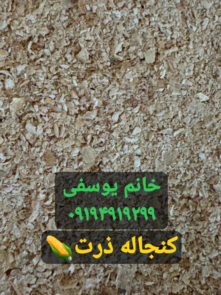فروش کنجاله ذرت درجه یک | تامین پروتئین و مواد مغذی دام و طیور