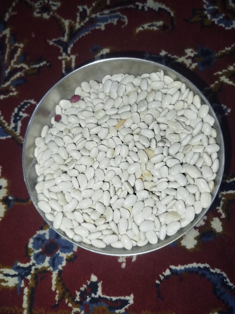 فروش لوبیا سفید درجه یک – قیمت مناسب و کیفیت تضمینی