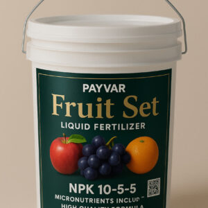 فروت ست؛ تضمین باردهی و کیفیت میوه