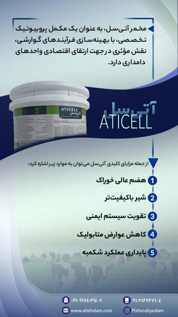 فروش مخمر آتی سل | مکمل تقویتی دام برای افزایش شیر، چربی و بهبود هضم