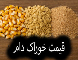 خوراک دام تازه شامل ذرت، کنجاله سویا و سبوس؛ نمایش ترکیبات اصلی و ارزشمند خوراک دام امروز برای تغذیه گاو و گوسفند.