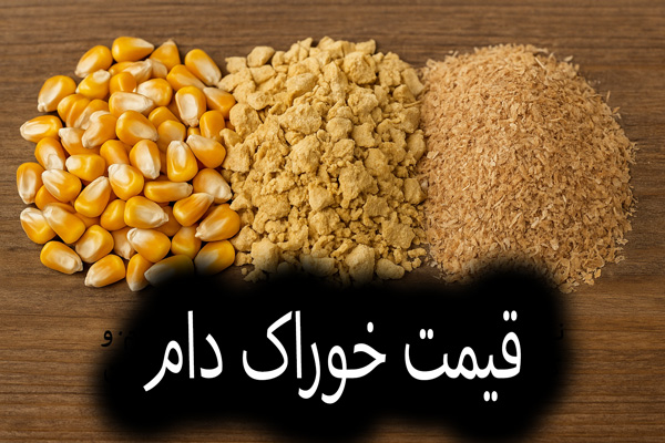 خوراک دام تازه شامل ذرت، کنجاله سویا و سبوس؛ نمایش ترکیبات اصلی و ارزشمند خوراک دام امروز برای تغذیه گاو و گوسفند.