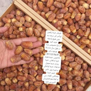 فروش خرما زاهدی