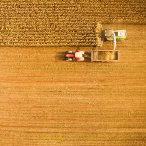 تامین کننده غلات و نهاده های دامی به قیمت روز