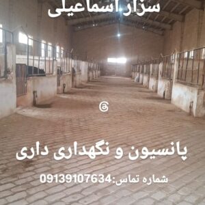 پانسیون و نگهداری اسب | اجاره باکس اسب در مجموعه پرورش اسب سزار اسماعیلی