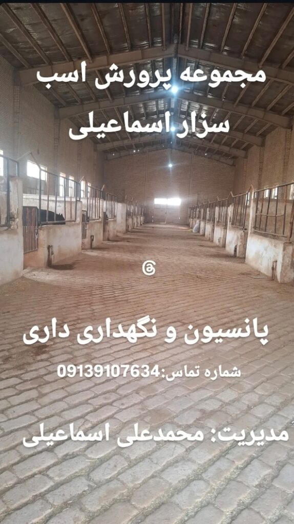 پانسیون و نگهداری اسب | اجاره باکس اسب در مجموعه پرورش اسب سزار اسماعیلی