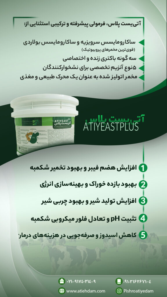 تخفیف ویژه یلدایی مکمل‌های دام و طیور | مخمر، توکسین‌بایندر و اوره آهسته‌رهش