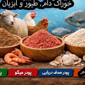 فروش پودر ماهی، پودر میگو و پودر صدف دریایی