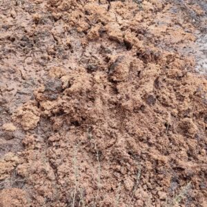 فروش تفاله زیتون تر